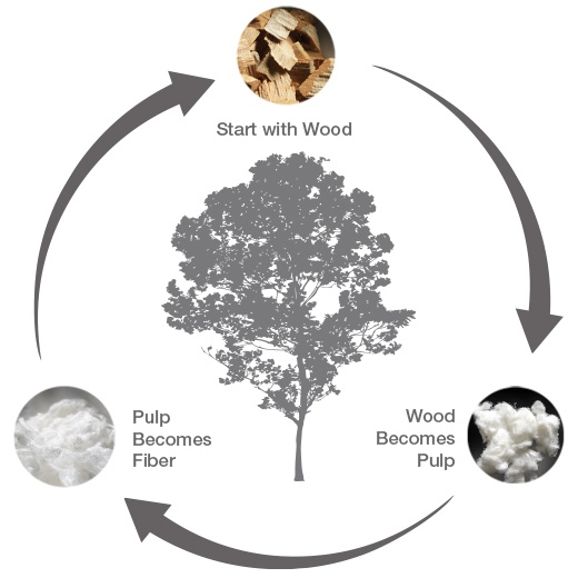 TENCEL™+Plus Lyocell eucalyptus bedding